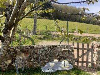 Gîte de charme avec jardin, terrasse et poêle à bois en pleine nature - FR-1-496-250 - Sevelinges - 5