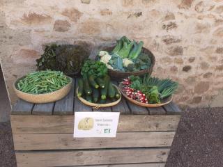 Gîte de charme avec jardin, terrasse et poêle à bois en pleine nature - FR-1-496-250 - Sevelinges - 2