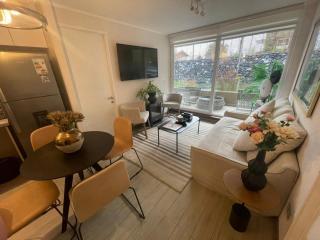 Departamento Pucon - 1