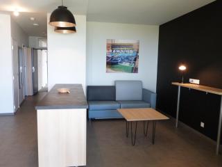 Appartement PMR 4 pers, plage, piscine chauffée, parking, animaux admis - FR-1-194-254 - La Tranche-sur-Mer - 8