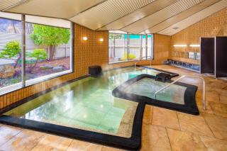 朝里川温泉ホテル - 8
