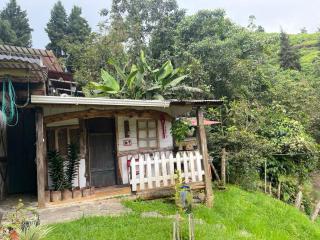 Tarragona Hostal - 5