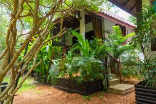 Alcove Bungalow - Hinkong - 3