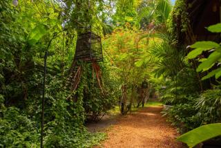 Alcove Bungalow - Hinkong - 9