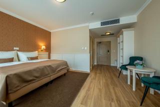 Wellness Hotel Pivovar Monopol - Teplice - 4