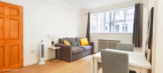 Neptune Flat 9 at Marble Arch - Londra - 5