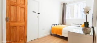 Neptune Flat 9 at Marble Arch - Londra - 1