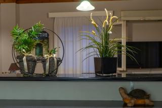 Voula's House - Nydri - 8
