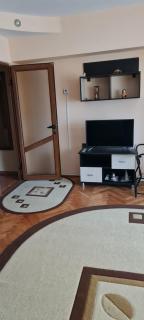 Apartament cu 2 camere spatioase in centrul orasului - ANDREI - 4