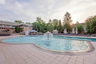 Hotel Termal - Baile Felix - 8