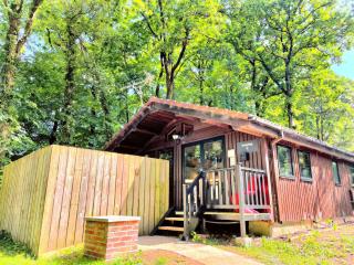 Snowdrop 9 Hot Tub-Woodlandlodges-Pembrokeshire - 9