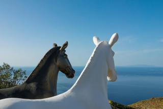 Makarias Traditional Luxury Villas - Ano Meria - 9