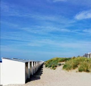 Crèmebol - Nieuwpoort - 0