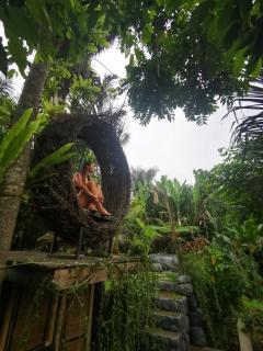 Mirah Guest House - Tampaksiring - 5