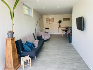 appartement saint juery - 9