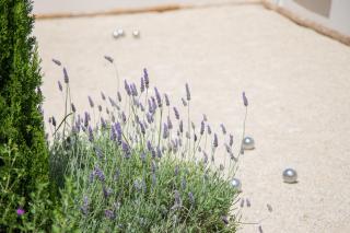 Les Villas des Fontaines - 7