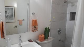 Neita's Nest - Kingston - 1