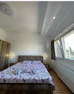 Prishtina Newborn ABC room - Pristina - 5