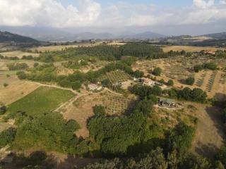 Agriturismo Pozzo dei Cocci - Morleschio - 0