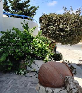 Lovely 1-bedroom unit @ fabulous location - Paphos - 3