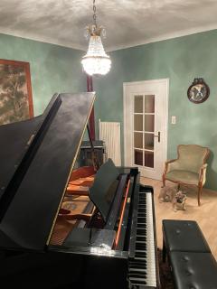 Musikalische Ferienwohnung mit Rheinblick - Sankt Goar - 7