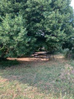 STUDIO Sud LUBERON - Grambois - 6