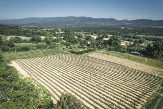 STUDIO Sud LUBERON - Grambois - 3