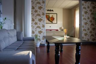 YOX apartment 1 - Oradea - 9