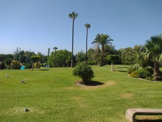 Estudio Minerva 429, Costa del Sol - 2