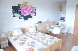Pokoje nad Soliną 695-533-767 - Polańczyk - 0