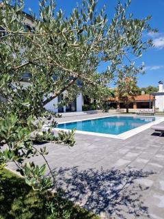 Villa Olea - Zmijavci - 7