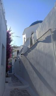 Tinos Bougainvillea - 8
