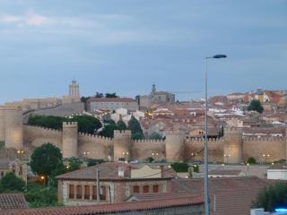 Hostal Mirador de Avila - Ávila - 8