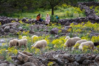 Toubkal Ecolodge - Imlil - 2