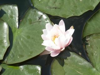 Ferienwohnung Silvia Wutte - 4