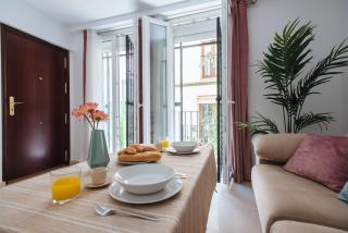 SBH1 Beautiful 1 bedroom apartment in city center - Siviglia - 8