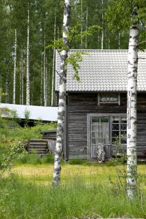 Tarina-Aho Resort - Vuonislahti - 9