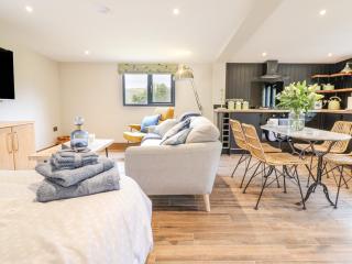 The Cabin at Evelyns Retreat - Corwen - 2
