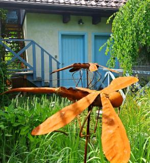 Apartament Droździkówka - 7
