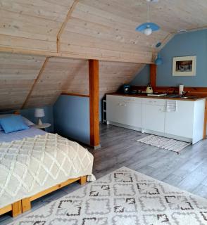 Apartament Droździkówka - 3
