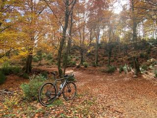 La Torre d' Espinalbet - 7