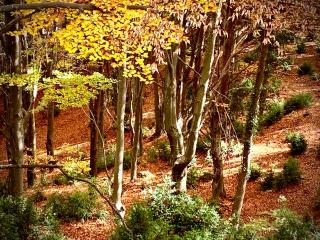 La Torre d' Espinalbet - 5