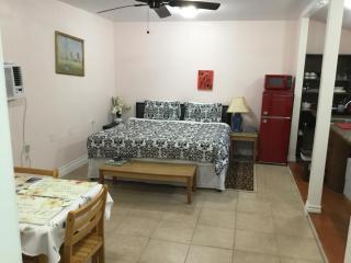 Studio apartment at Historical House - Galveston - 3