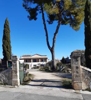 Gites du Mas Gibert à SAUSSINES entre Nimes et Montpellier - Saussines - 0