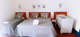 HOTEL FAZENDA PACIENCIA - Santana dos Montes - 6