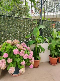 Apartment Manilu - Dubrovnik - 5