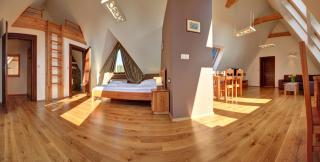 Willa Misiaga Apartamenty - Murzasichle - 4