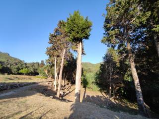 House Theofilos - Paramonas - 7