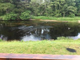 RIVERSIDE LODGE RETREAT - Aviemore - 2