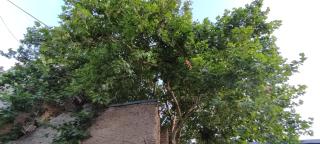 Apartmani DLD NS - Novi Sad - 2
